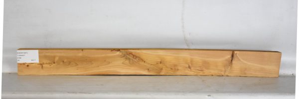 CEDH1097_1