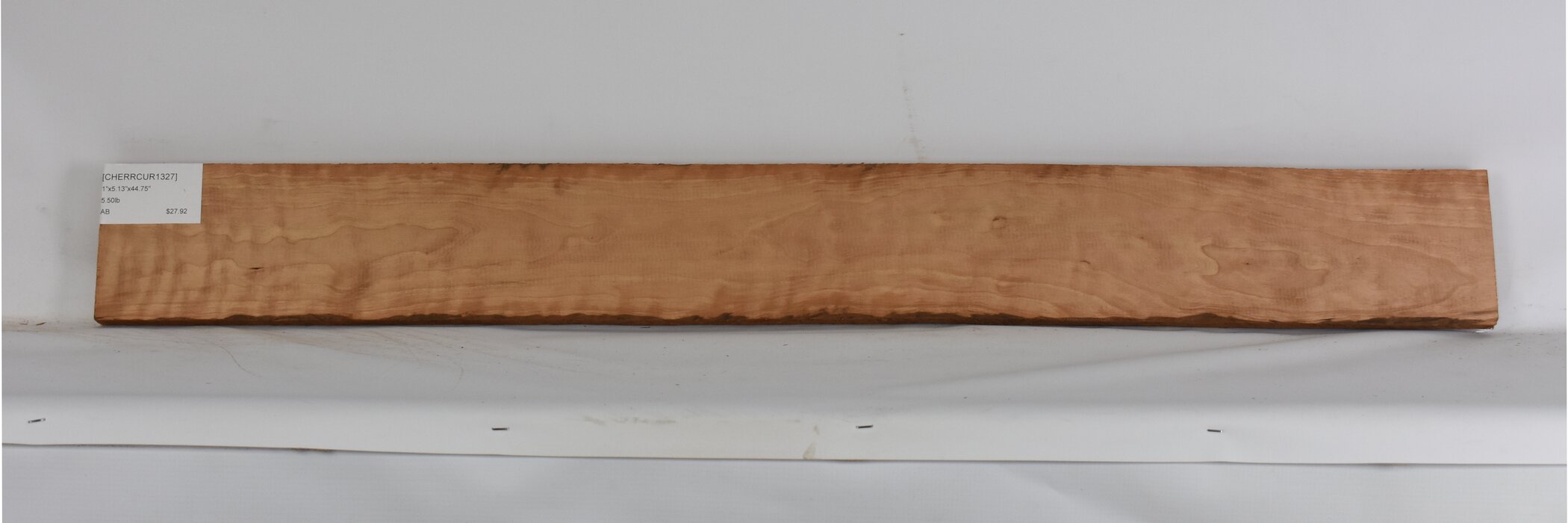 Cherry - American Curly 2 CHERRCUR1327_2