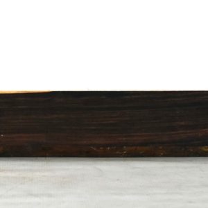 COCO1531_1