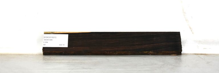 COCO1531_1