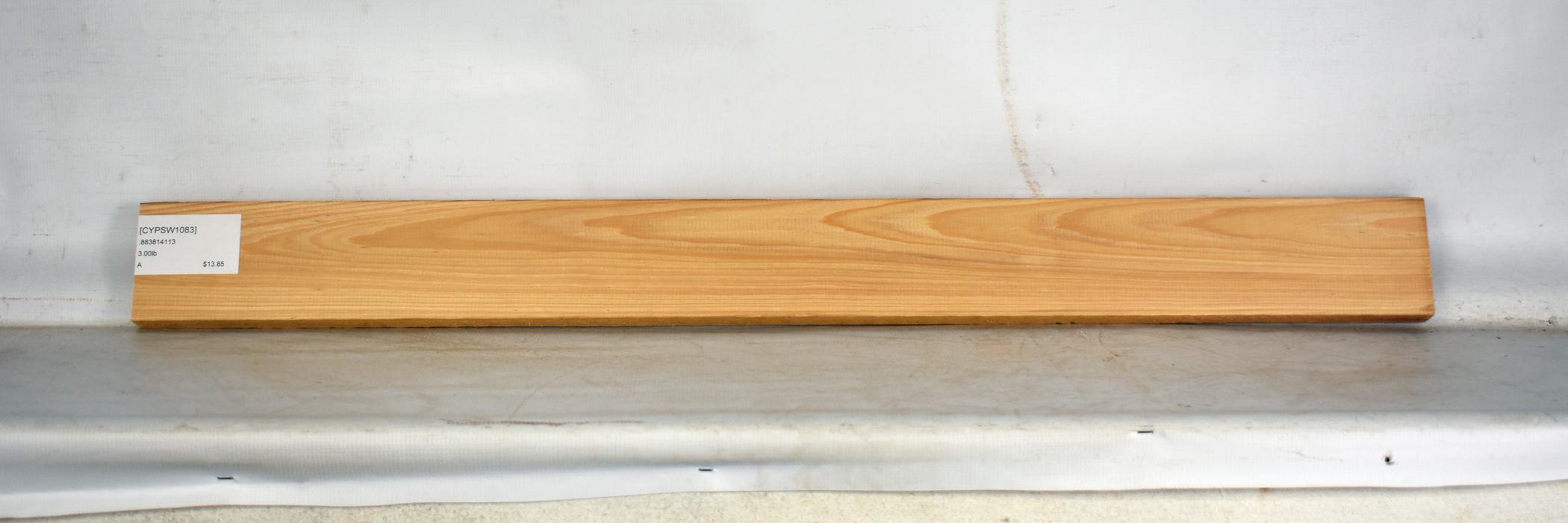 Cypress - Swamp 2 CYPSW1083_2