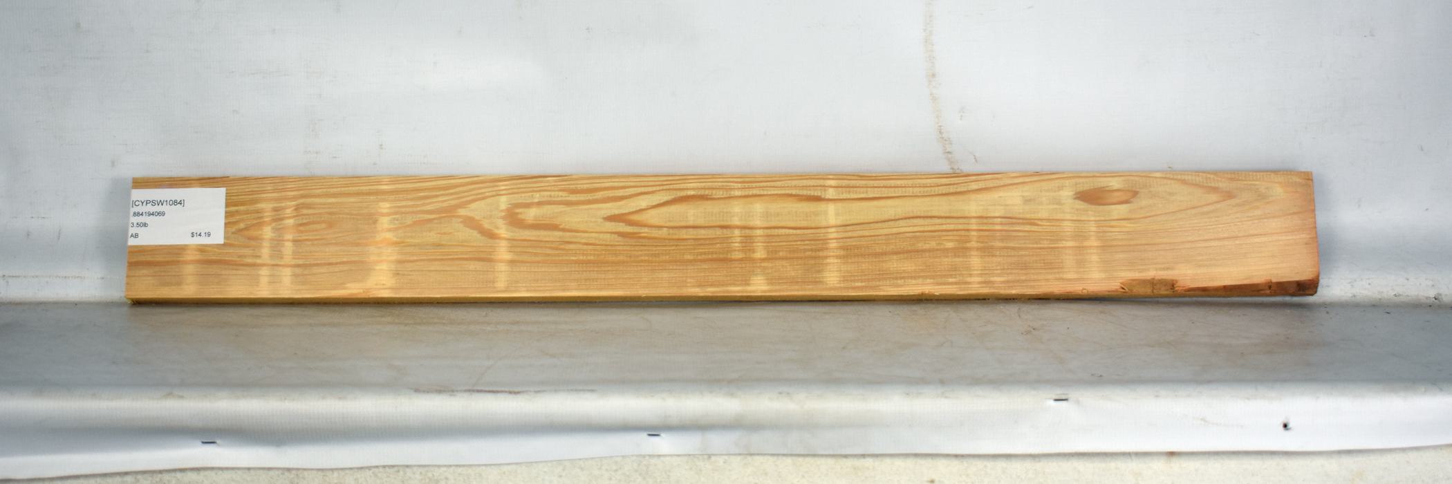 Cypress - Swamp 2 CYPSW1084_2