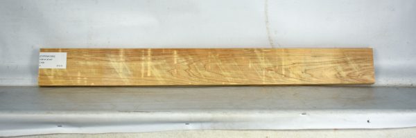 CYPSW1090_2