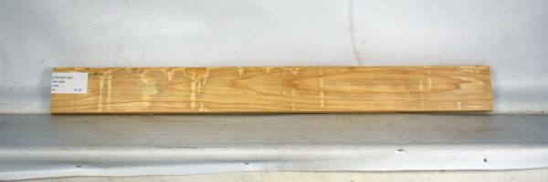 CYPSW1093_2