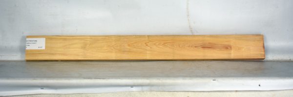 CYPSW1096_1