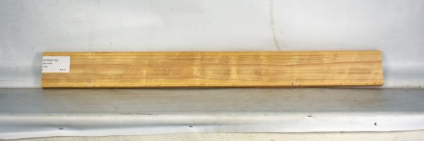 CYPSW1102_2