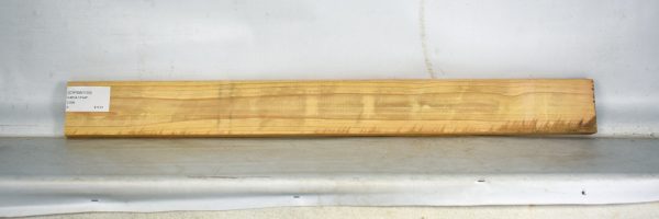 CYPSW1103_1