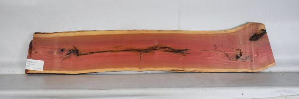 IVRED1137_2