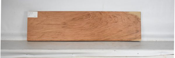 JATOB1165_1
