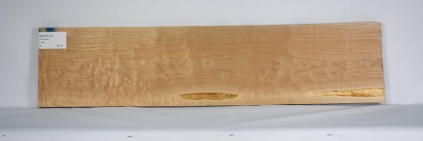 MAPQ1137_2