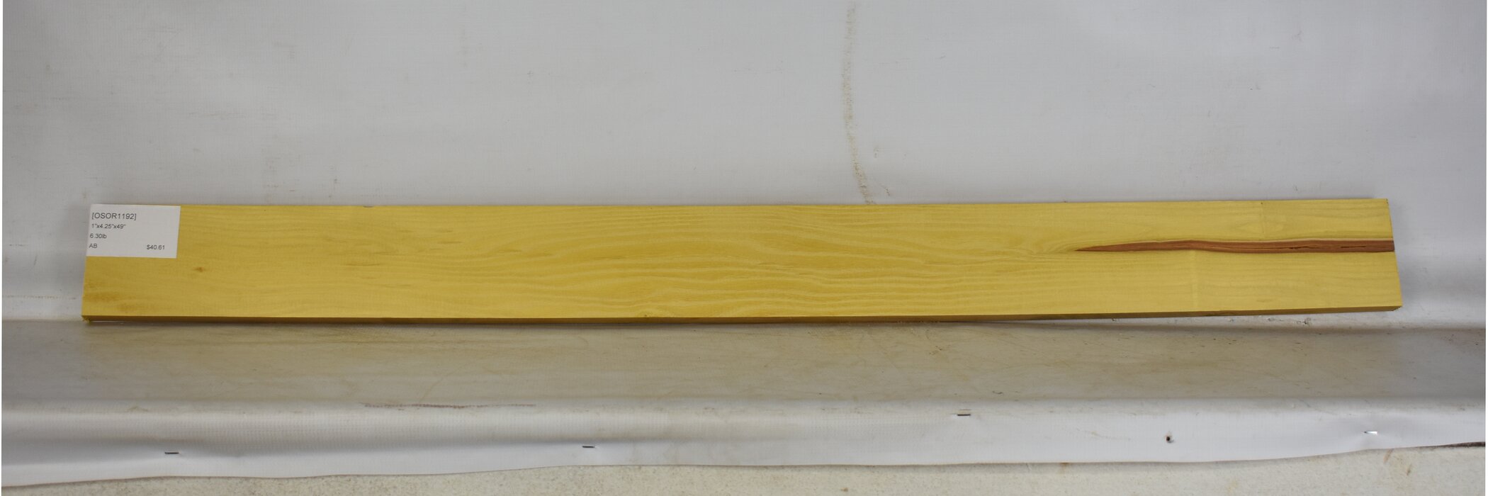 Osage Orange 2 OSOR1192_2