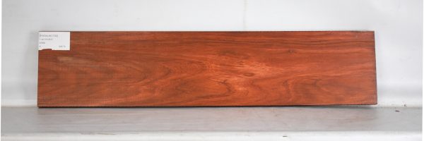 PADAUK1730_2