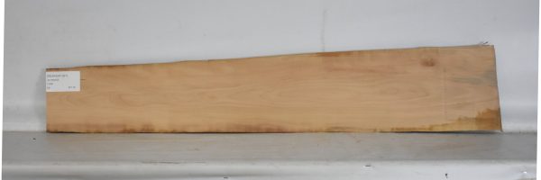 PEARSW1301_1