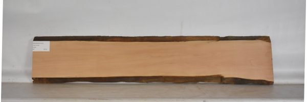 PEARSW1310_2