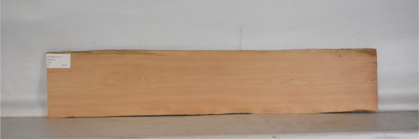 PEARSW1311_2