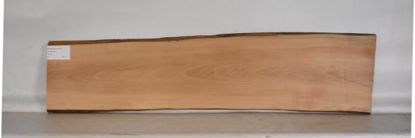 PEARSW1313_2