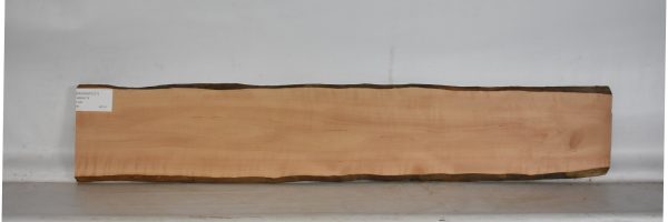 PEARSW1317_2