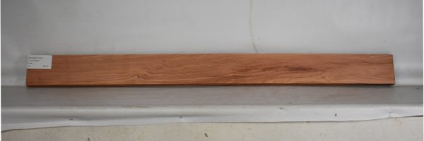 ROSEAF1331_1