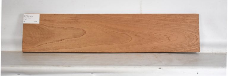 SAPELE1219_1