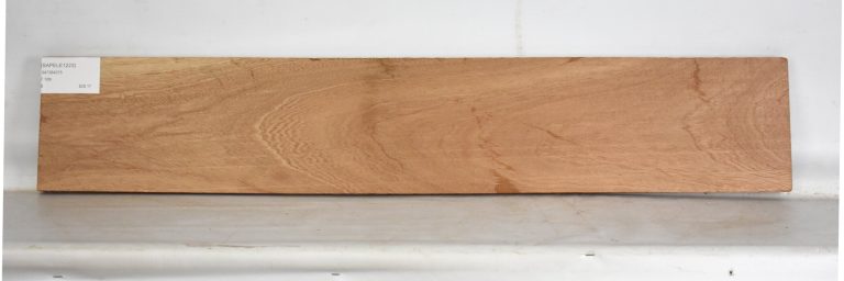 SAPELE1223_1