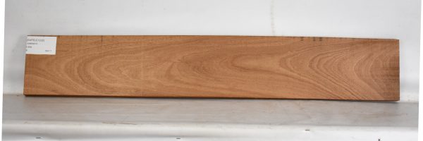 SAPELE1232_1