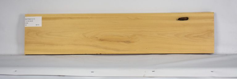 SATINEI1217_1