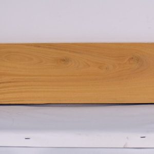 SATINEI1219_1
