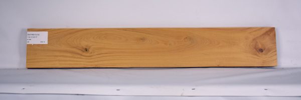 SATINEI1219_1