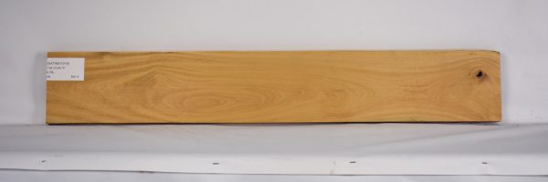 SATINEI1219_2