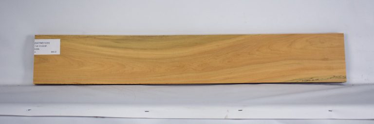 SATINEI1220_1