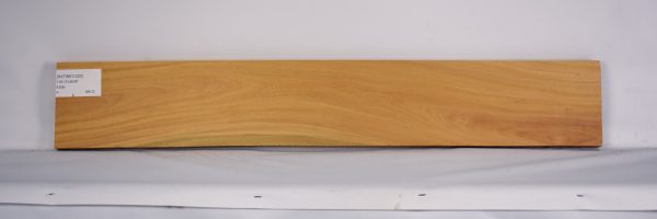 SATINEI1220_2