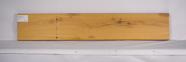 SATINEI1221_1