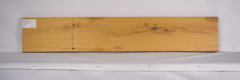 SATINEI1221_1