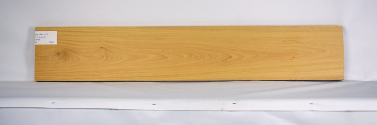 SATINEI1222_1