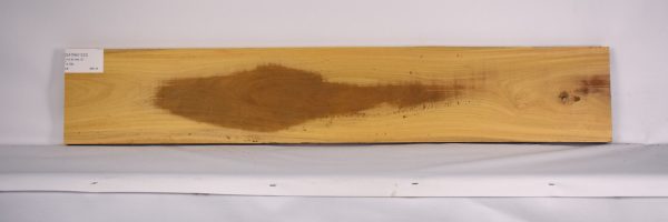 SATINEI1223_1