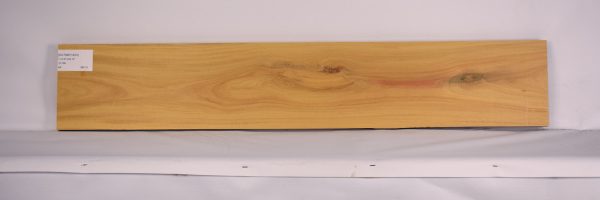 SATINEI1223_2