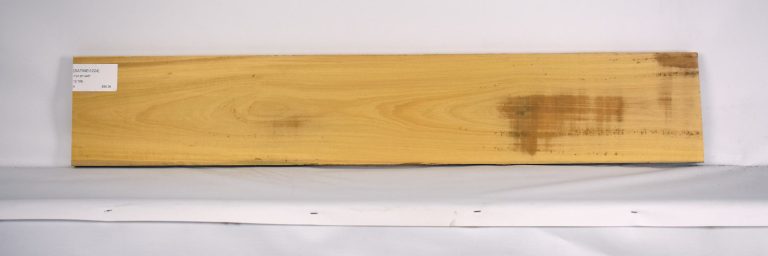 SATINEI1224_1