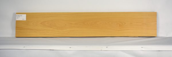 SATINEI1224_2