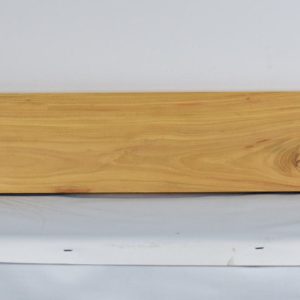 SATINEI1225_1