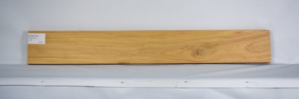 SATINEI1225_1
