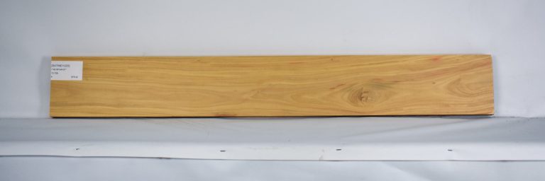 SATINEI1225_1