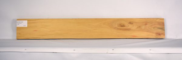 SATINEI1225_2