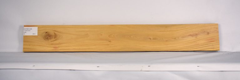 SATINEI1226_1