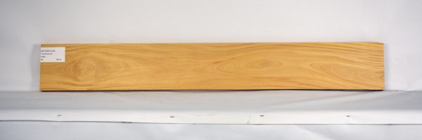 SATINEI1226_2