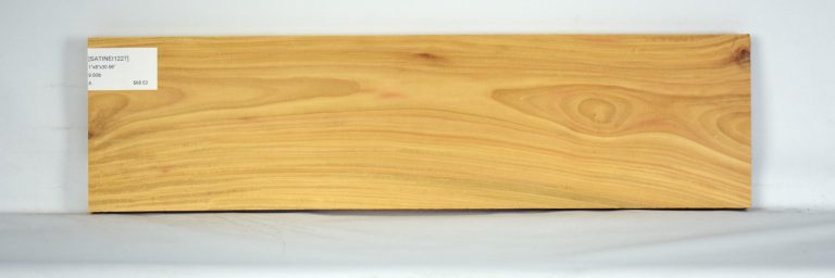 SATINEI1227_1