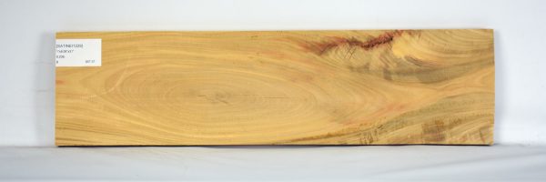 SATINEI1229_1