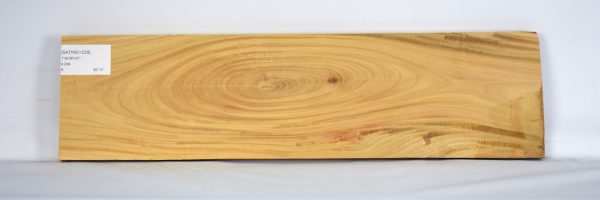 SATINEI1229_2