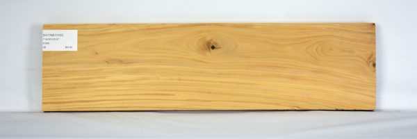 SATINEI1232_2