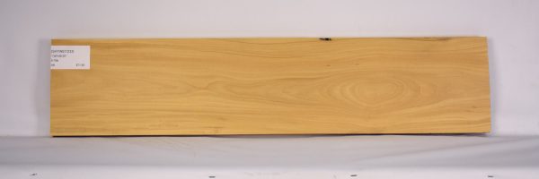 SATINEI1233_2