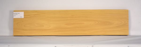 SATINEI1234_1